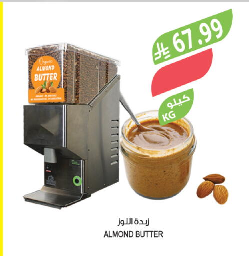 available at المزرعة in مملكة العربية السعودية, السعودية, سعودية - تبوك