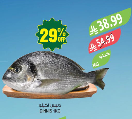 available at المزرعة in مملكة العربية السعودية, السعودية, سعودية - جازان