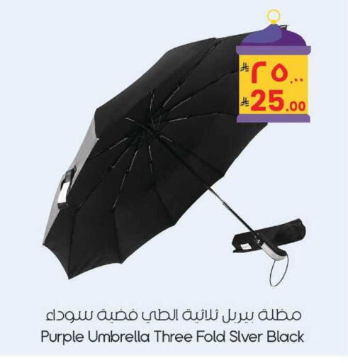 available at City Flower in KSA, Saudi Arabia, Saudi - Sakaka