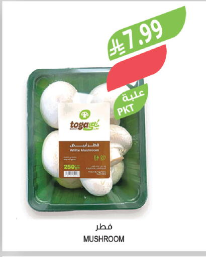 Mushroom available at Farm  in KSA, Saudi Arabia, Saudi - Jazan