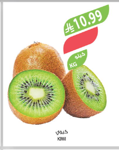 Kiwi available at المزرعة in مملكة العربية السعودية, السعودية, سعودية - سكاكا