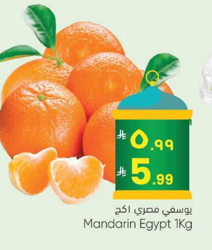 Mandarin from Egypt available at City Flower in KSA, Saudi Arabia, Saudi - Sakaka