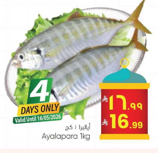 available at City Flower in KSA, Saudi Arabia, Saudi - Jubail