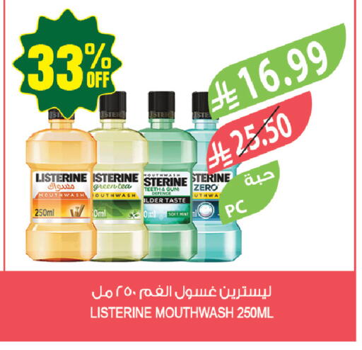 Mint available at المزرعة in مملكة العربية السعودية, السعودية, سعودية - جازان