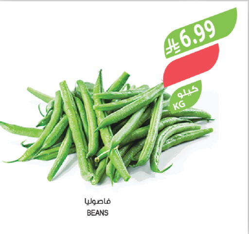 available at Farm  in KSA, Saudi Arabia, Saudi - Jazan
