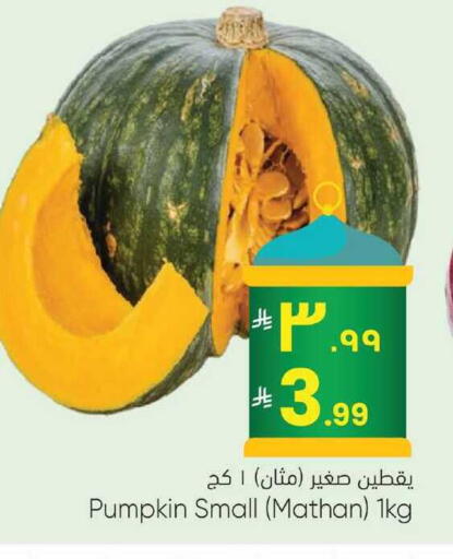 Pumpkin available at City Flower in KSA, Saudi Arabia, Saudi - Sakaka