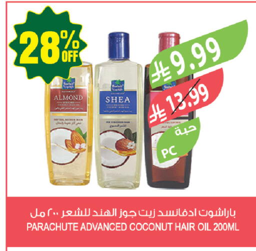 Coconut available at Farm  in KSA, Saudi Arabia, Saudi - Yanbu