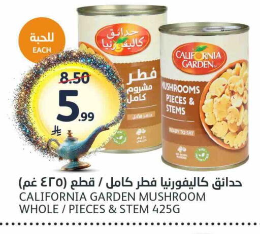 Mushroom available at مركز الجزيرة للتسوق in مملكة العربية السعودية, السعودية, سعودية - الرياض