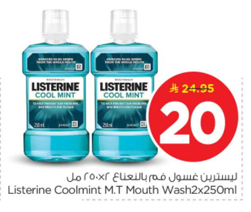 Mint available at نستو in مملكة العربية السعودية, السعودية, سعودية - المجمعة