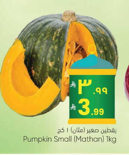 Pumpkin available at City Flower in KSA, Saudi Arabia, Saudi - Najran