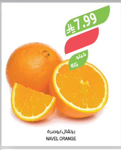 Orange available at المزرعة in مملكة العربية السعودية, السعودية, سعودية - سكاكا