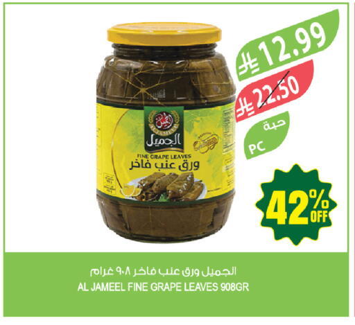 available at Farm  in KSA, Saudi Arabia, Saudi - Jazan
