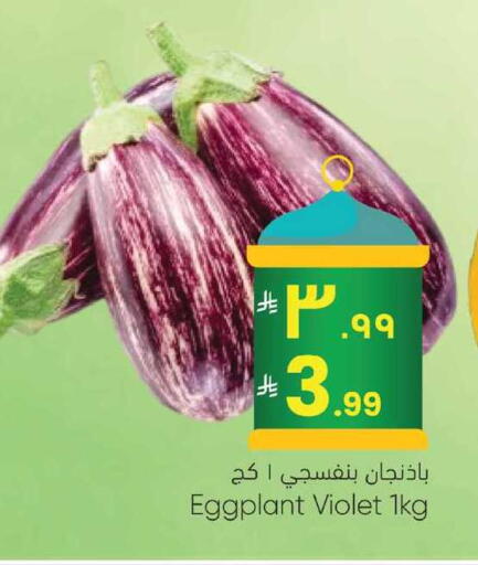 Eggplant available at City Flower in KSA, Saudi Arabia, Saudi - Najran