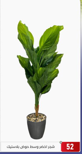 available at تخفيضات العائلة in مملكة العربية السعودية, السعودية, سعودية - المنطقة الشرقية