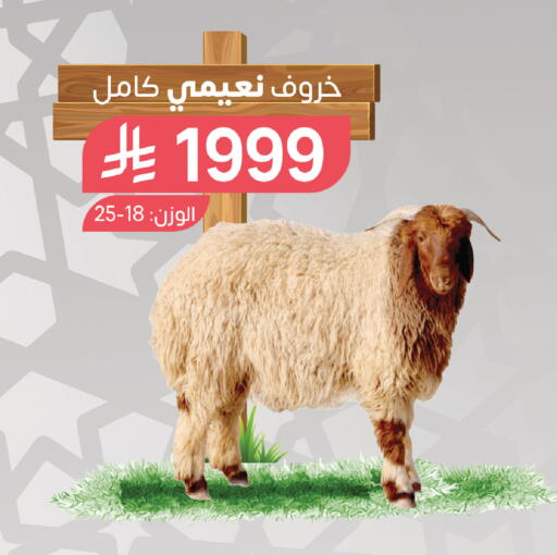 available at المزرعة in مملكة العربية السعودية, السعودية, سعودية - جازان