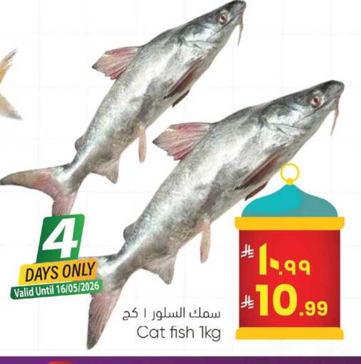 available at ستي فلاور in مملكة العربية السعودية, السعودية, سعودية - الرياض