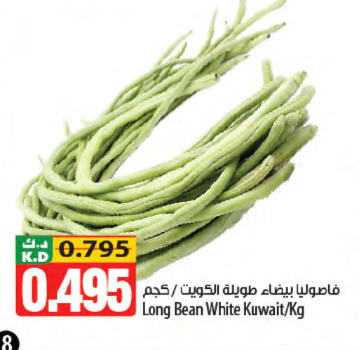 Mango from Kuwait available at Mango Hypermarket  in Kuwait - Jahra Governorate