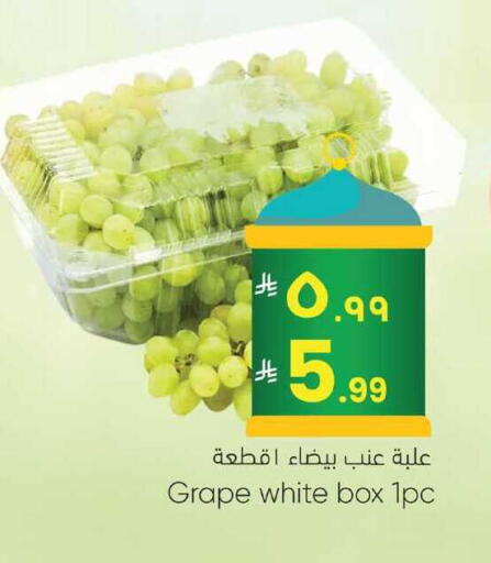 available at ستي فلاور in مملكة العربية السعودية, السعودية, سعودية - نجران