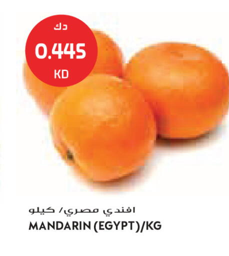 Mandarin from Egypt available at جراند كوستو in الكويت - مدينة الكويت
