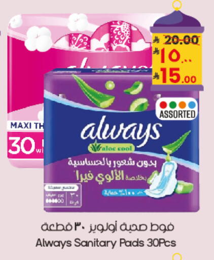 available at City Flower in KSA, Saudi Arabia, Saudi - Al Duwadimi