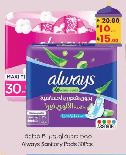 available at City Flower in KSA, Saudi Arabia, Saudi - Sakaka