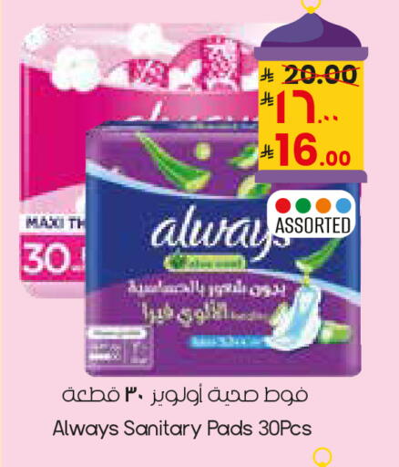 available at City Flower in KSA, Saudi Arabia, Saudi - Sakaka