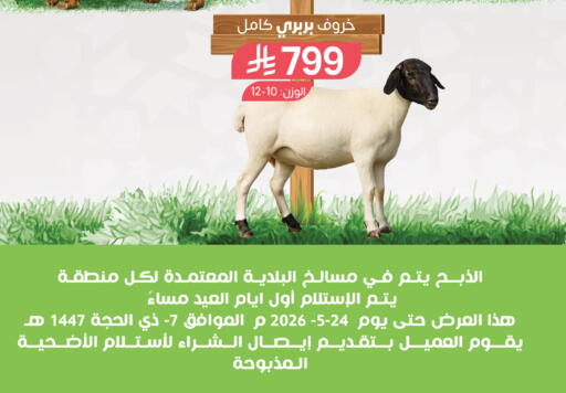 available at المزرعة in مملكة العربية السعودية, السعودية, سعودية - جازان