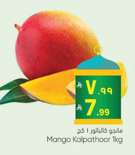 Mango available at City Flower in KSA, Saudi Arabia, Saudi - Sakaka