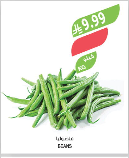 available at المزرعة in مملكة العربية السعودية, السعودية, سعودية - الخبر‎