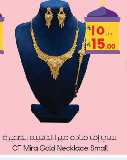 available at City Flower in KSA, Saudi Arabia, Saudi - Sakaka