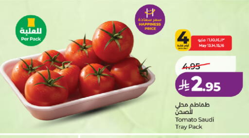 Tomato from Saudi Arabia available at LULU Hypermarket in KSA, Saudi Arabia, Saudi - Yanbu