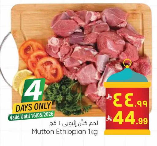 available at City Flower in KSA, Saudi Arabia, Saudi - Sakaka