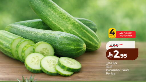 Cucumber from Saudi Arabia available at لولو هايبرماركت in مملكة العربية السعودية, السعودية, سعودية - مكة المكرمة