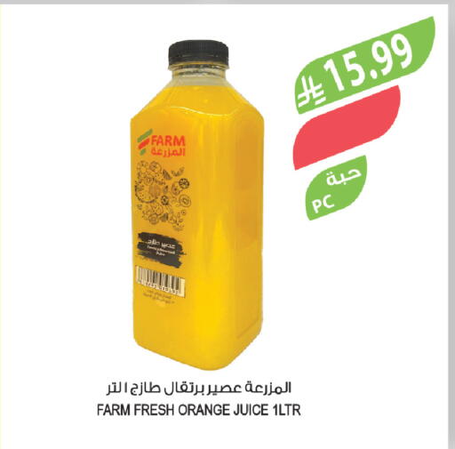 Orange available at المزرعة in مملكة العربية السعودية, السعودية, سعودية - جازان