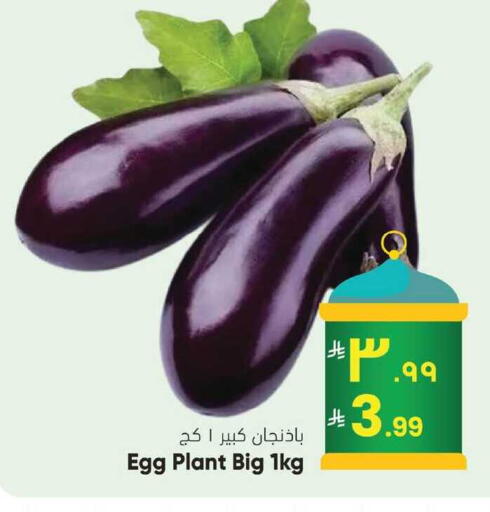 available at City Flower in KSA, Saudi Arabia, Saudi - Riyadh