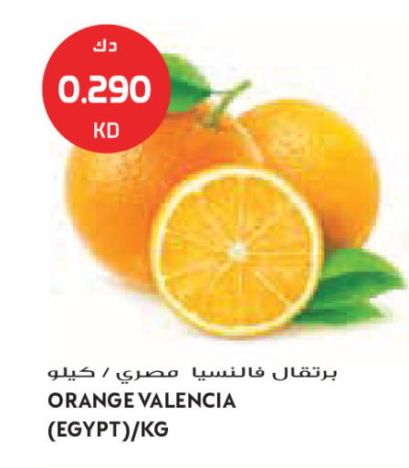 Orange from Egypt available at جراند كوستو in الكويت - مدينة الكويت