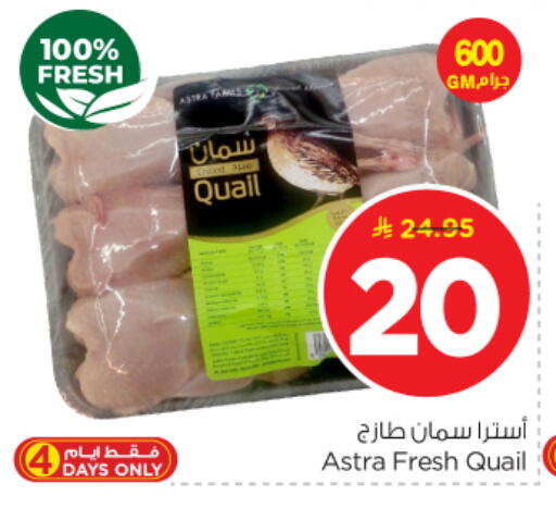 available at نستو in مملكة العربية السعودية, السعودية, سعودية - الرياض