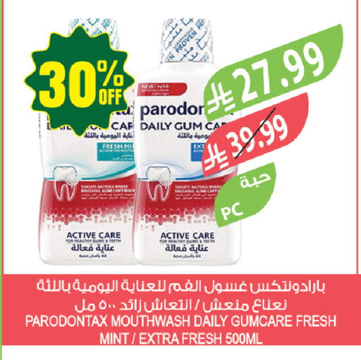 Mint available at المزرعة in مملكة العربية السعودية, السعودية, سعودية - جازان