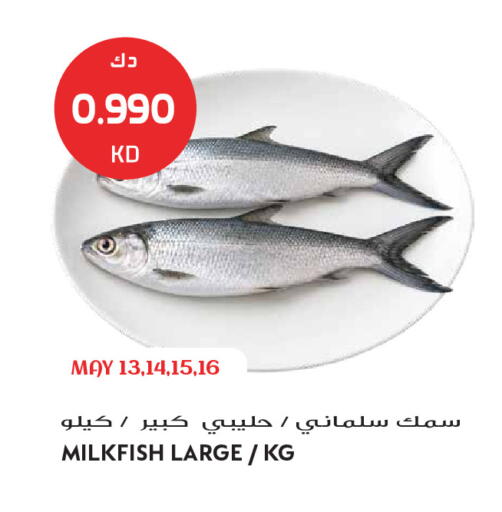 available at Grand Hyper in Kuwait - Kuwait City