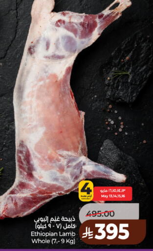 available at لولو هايبرماركت in مملكة العربية السعودية, السعودية, سعودية - حائل‎