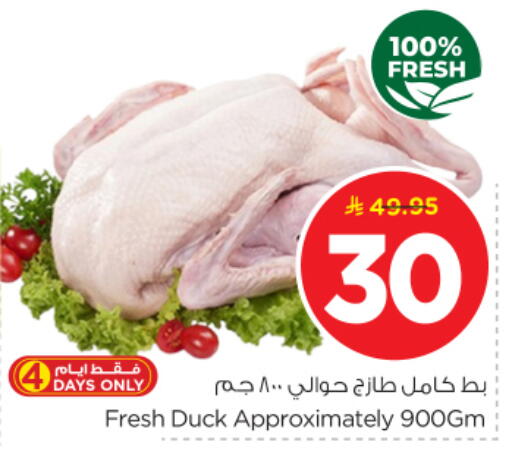available at نستو in مملكة العربية السعودية, السعودية, سعودية - الرياض