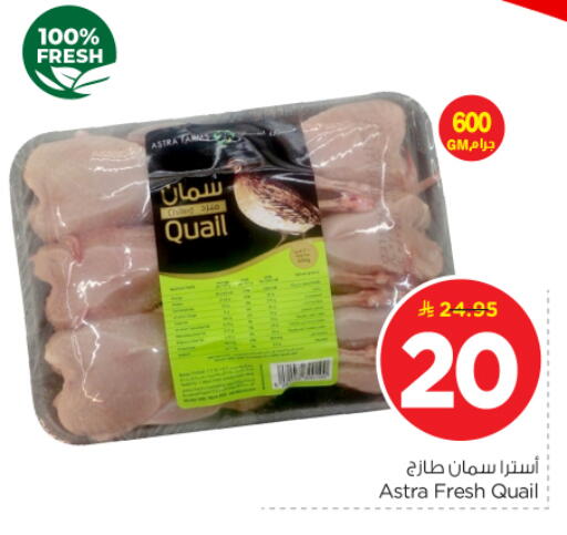 available at نستو in مملكة العربية السعودية, السعودية, سعودية - الرياض