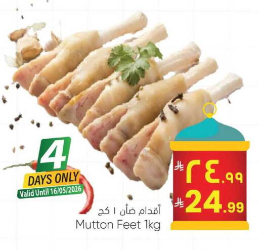 available at ستي فلاور in مملكة العربية السعودية, السعودية, سعودية - الرياض