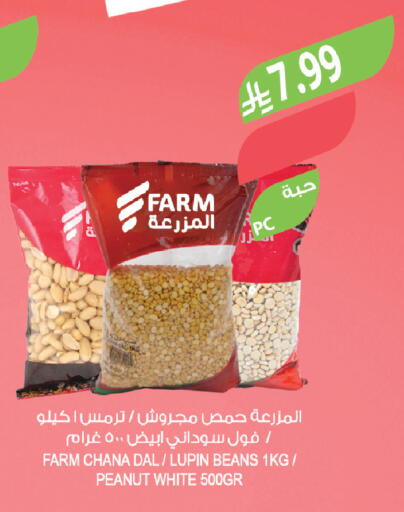 available at المزرعة in مملكة العربية السعودية, السعودية, سعودية - ينبع