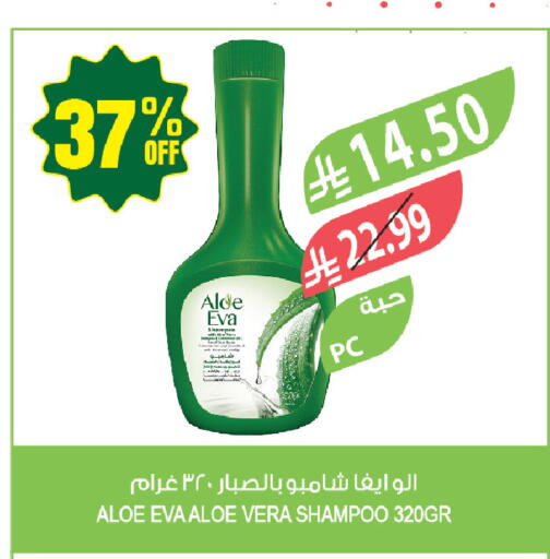 available at المزرعة in مملكة العربية السعودية, السعودية, سعودية - جازان