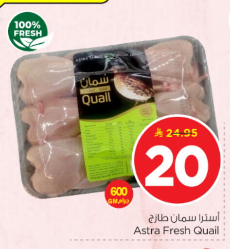 available at نستو in مملكة العربية السعودية, السعودية, سعودية - الرياض