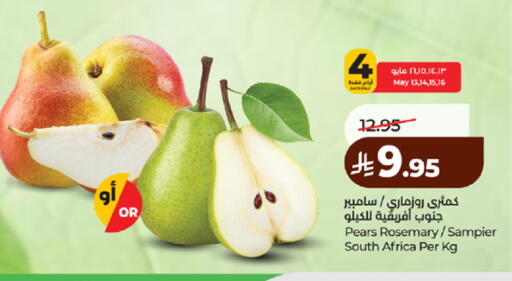 Rosemary from South Africa available at LULU Hypermarket in KSA, Saudi Arabia, Saudi - Yanbu