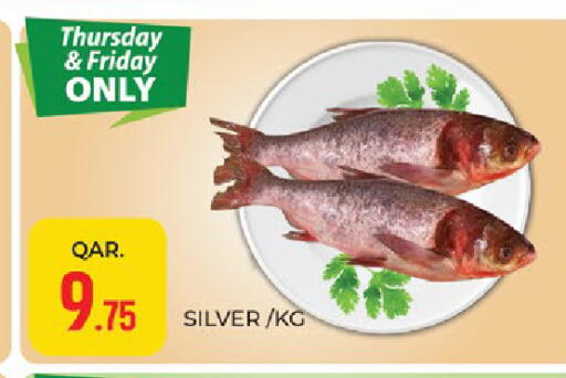 available at باريس هايبرماركت in قطر - الريان