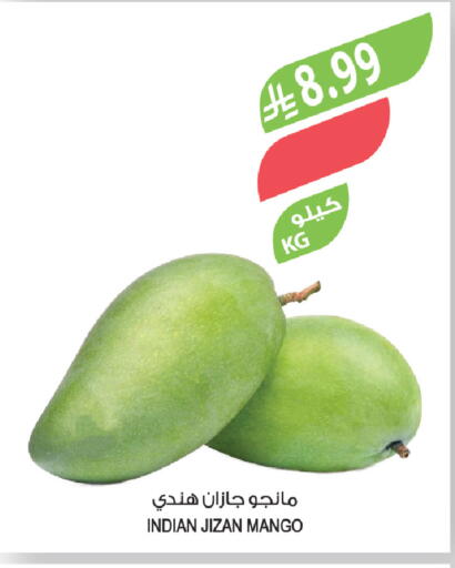 Mango from India available at المزرعة in مملكة العربية السعودية, السعودية, سعودية - ينبع