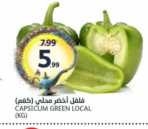 Capsicum available at مركز الجزيرة للتسوق in مملكة العربية السعودية, السعودية, سعودية - الرياض